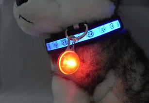 炫酷夜光新寵 LED發(fā)光寵物飾品全攻略